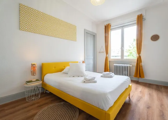 Beautiful Haussmannian In Center Mulhouse