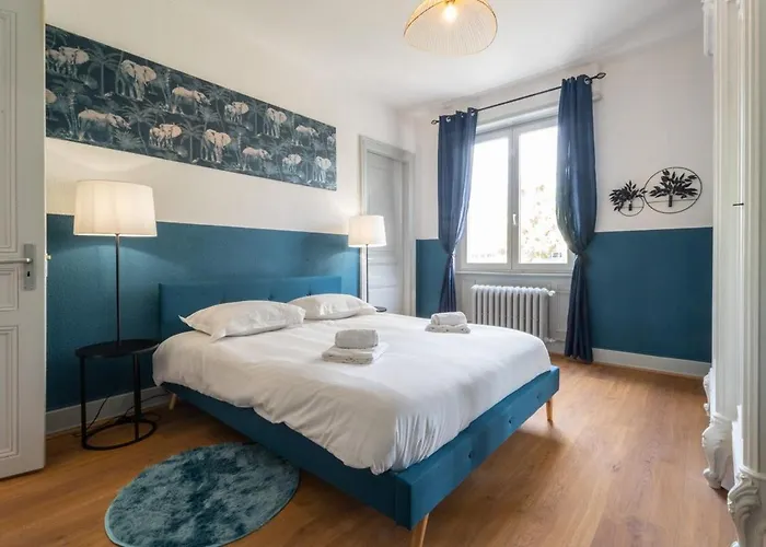 Beautiful Haussmannian In Center Appartement Mulhouse